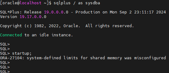 Read more about the article ORA-27104: system-defined limits for shared memory was misconfigured